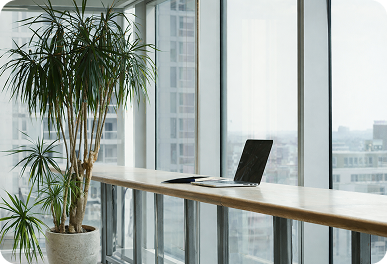 commercial and office cleaning